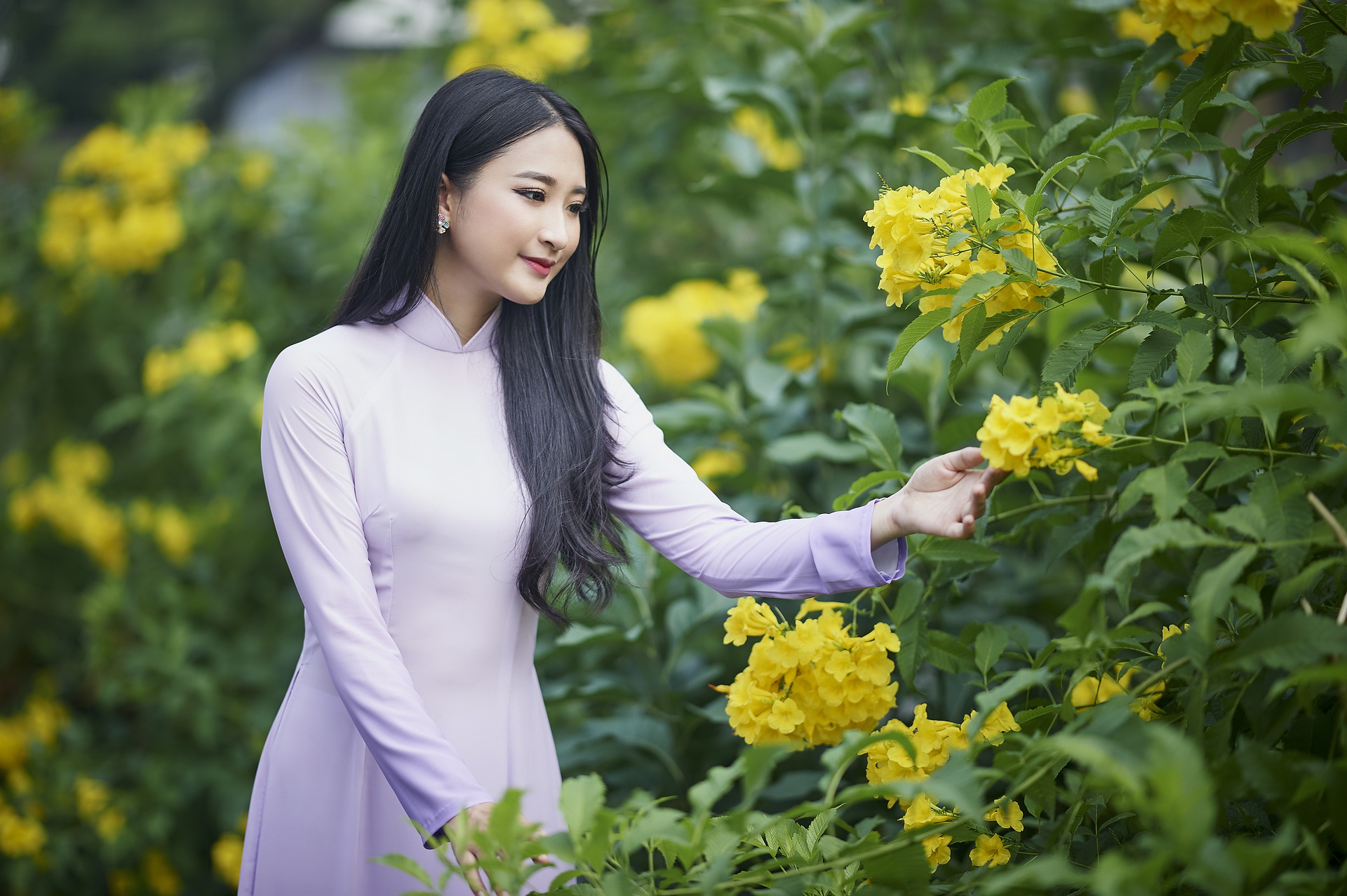 Chinese Mail Order Brides Cost
